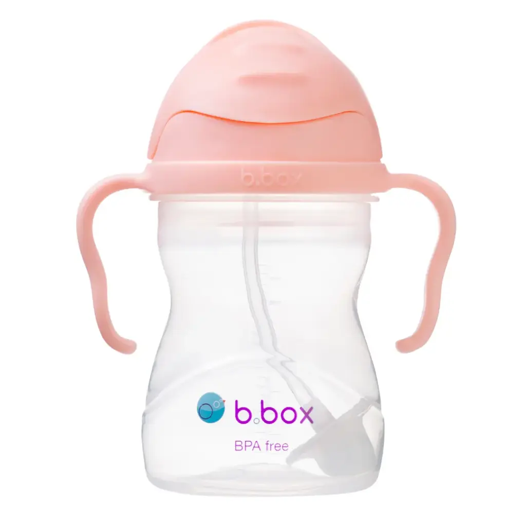 BBOX 防漏吸管學飲杯-雪糕系列